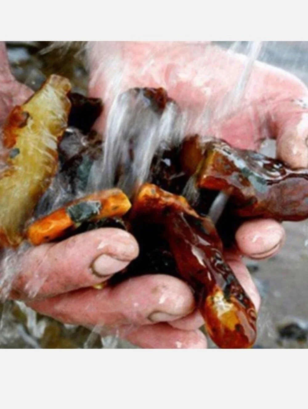 Amber Jewelry NATURAL AMBER STONES GENUINE AMBER NUGGETS